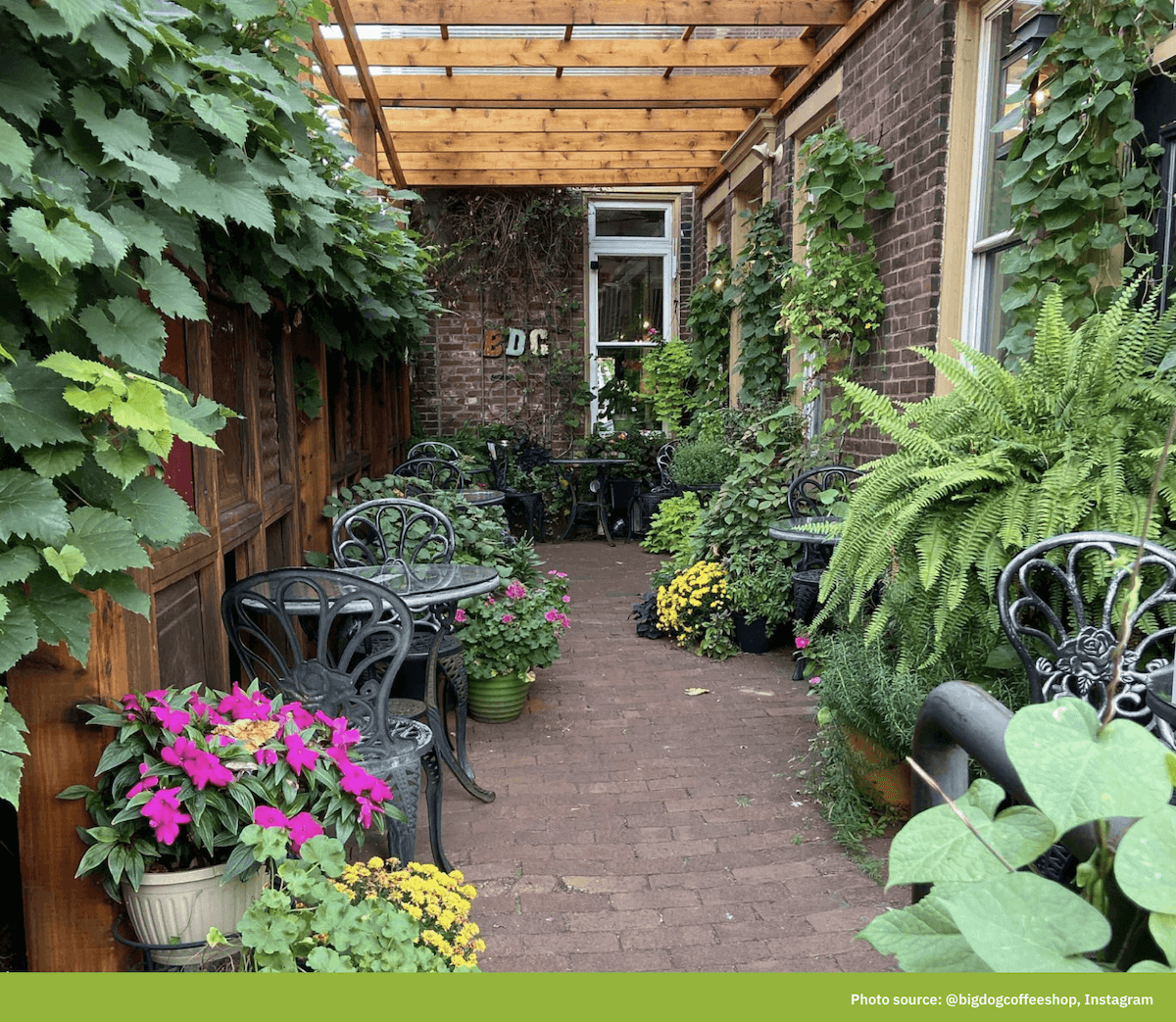 A narrow brick patio walkway lined with hanging vines, ferns, and potted flowers