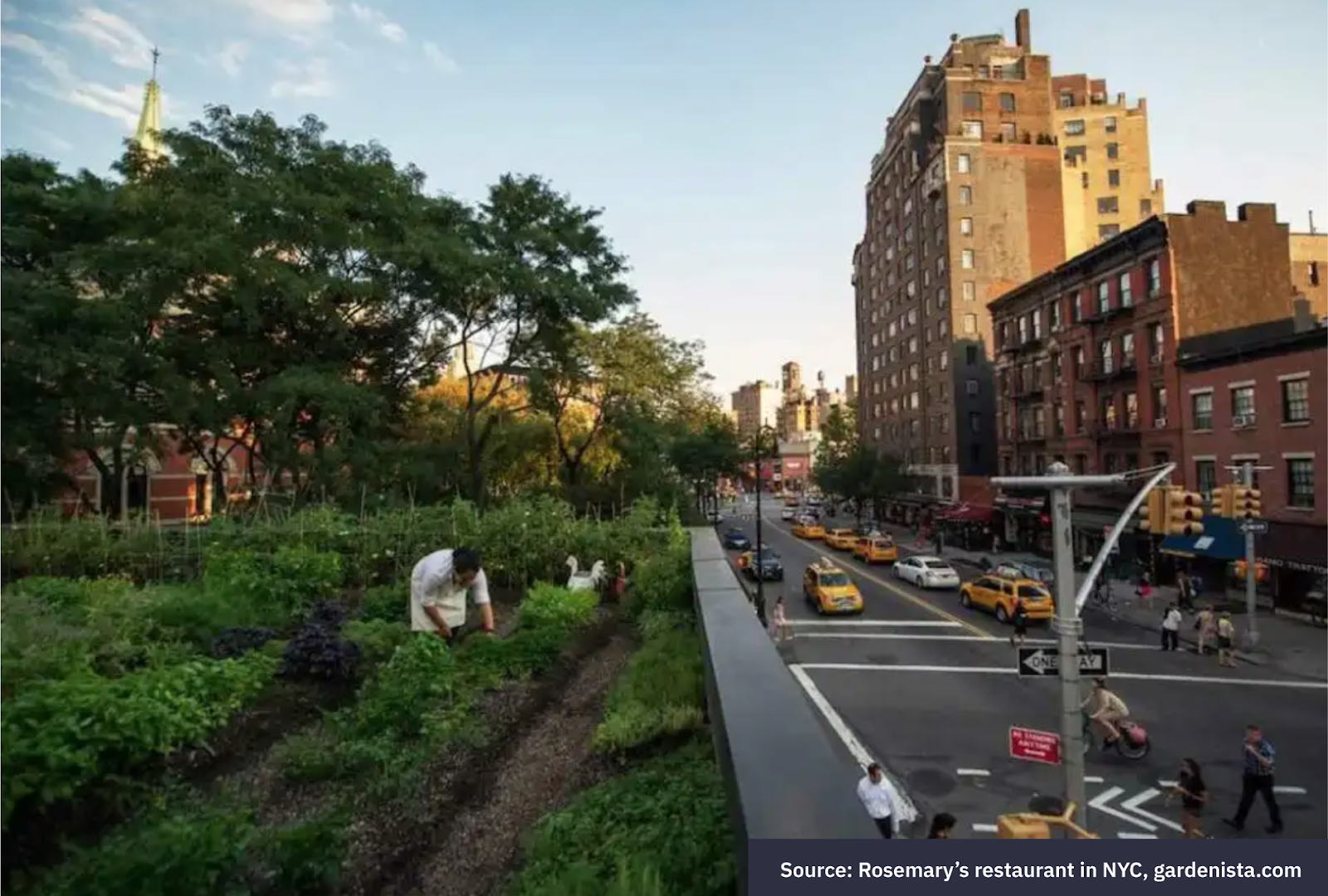 Rooftop vegetable garden above a New York City street