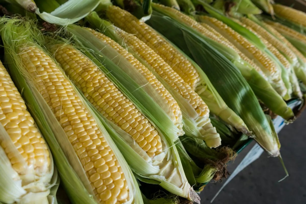 Street Corn